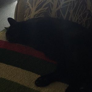 Meet your Posher, Sharon